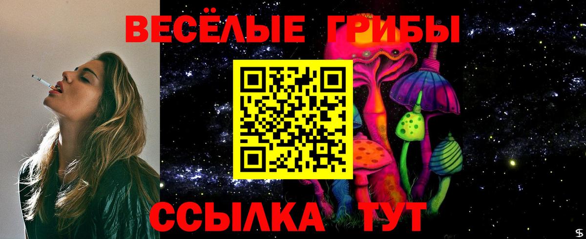 Псилоцибиновые грибы Cubensis Звенигород